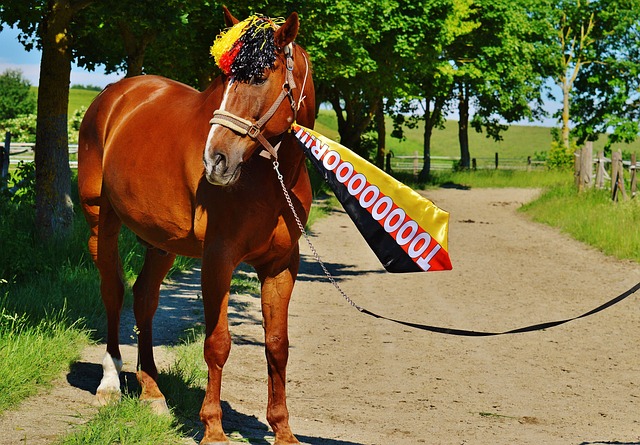 希望渺茫 希望渺茫