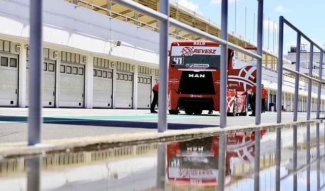 远的稳步成 远的稳步成