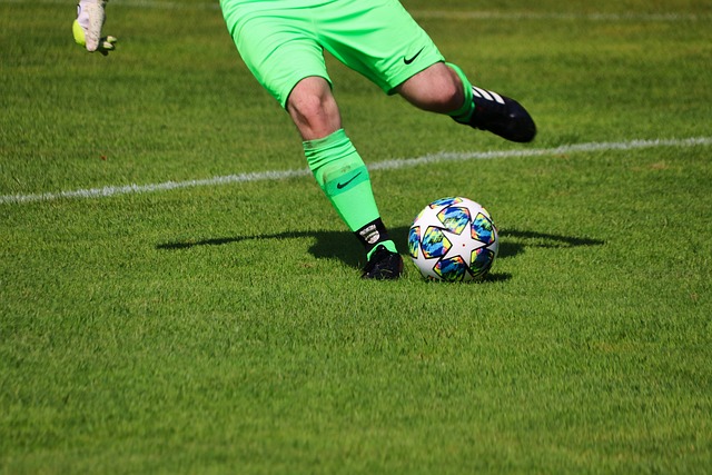 为导向的新 为导向的新